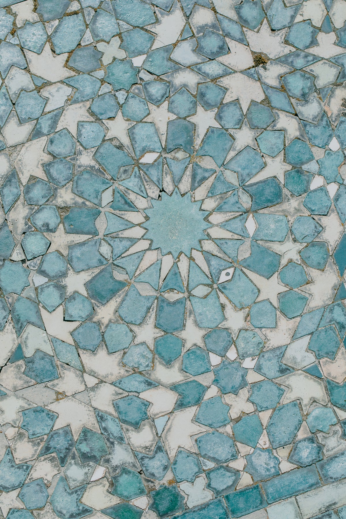 Slideshow Image 2